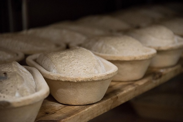 Auf einem Regal stehen mehrere Gärkörbe für Brote gefüllt mit Teigen nebeneinander