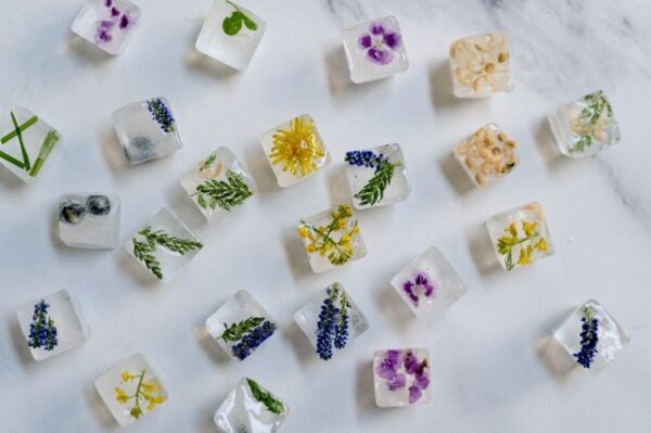 In vielen kleinen Eiswürfeln sind unterschiedliche essbare Blumen eingefroren worden