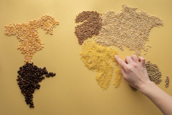 Eine Weltkarte aus verschiedenen Getreidekörnern. Hirse stellt Afrika dar. 