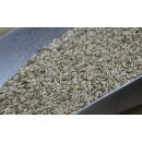 Bio Waldstaudenroggen ganzes Korn 25 kg